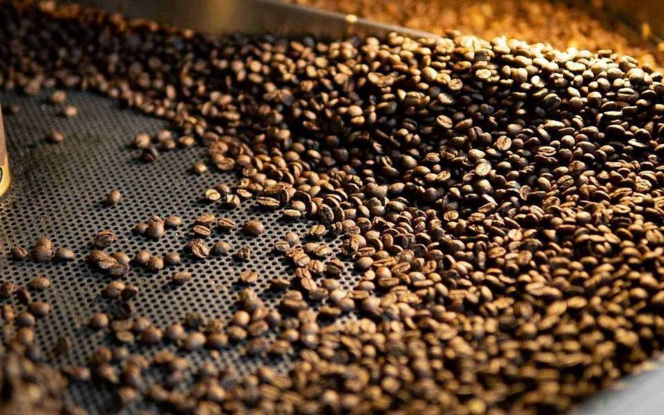 Nahaufnahme der Trommel und des Kühlsiebs einer Röstmaschine, frisch geröstete Bohnen im Sieb